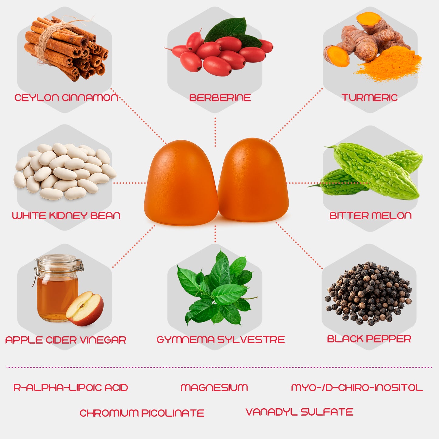 Moogu Organics® 13-in-1 Metabolic Support – Dihydroberberine, Myo-Inositol & Apple Cider Vinegar Complex