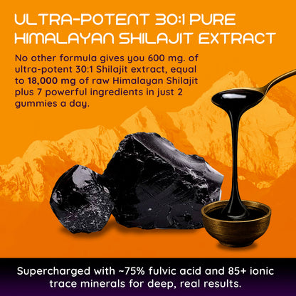Shilajit Gummies for Men – Tongkat Ali, Ashwagandha KSM-66 & Cistanche | Sugar Free | Moogu Organics